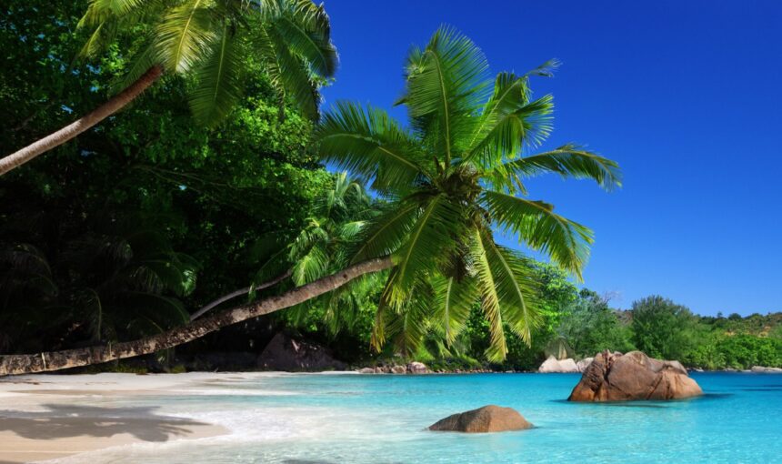The Hidden Treasures of the Seychelles: Why a Vacation in This Tropical Paradise Ticks All the Right Boxes